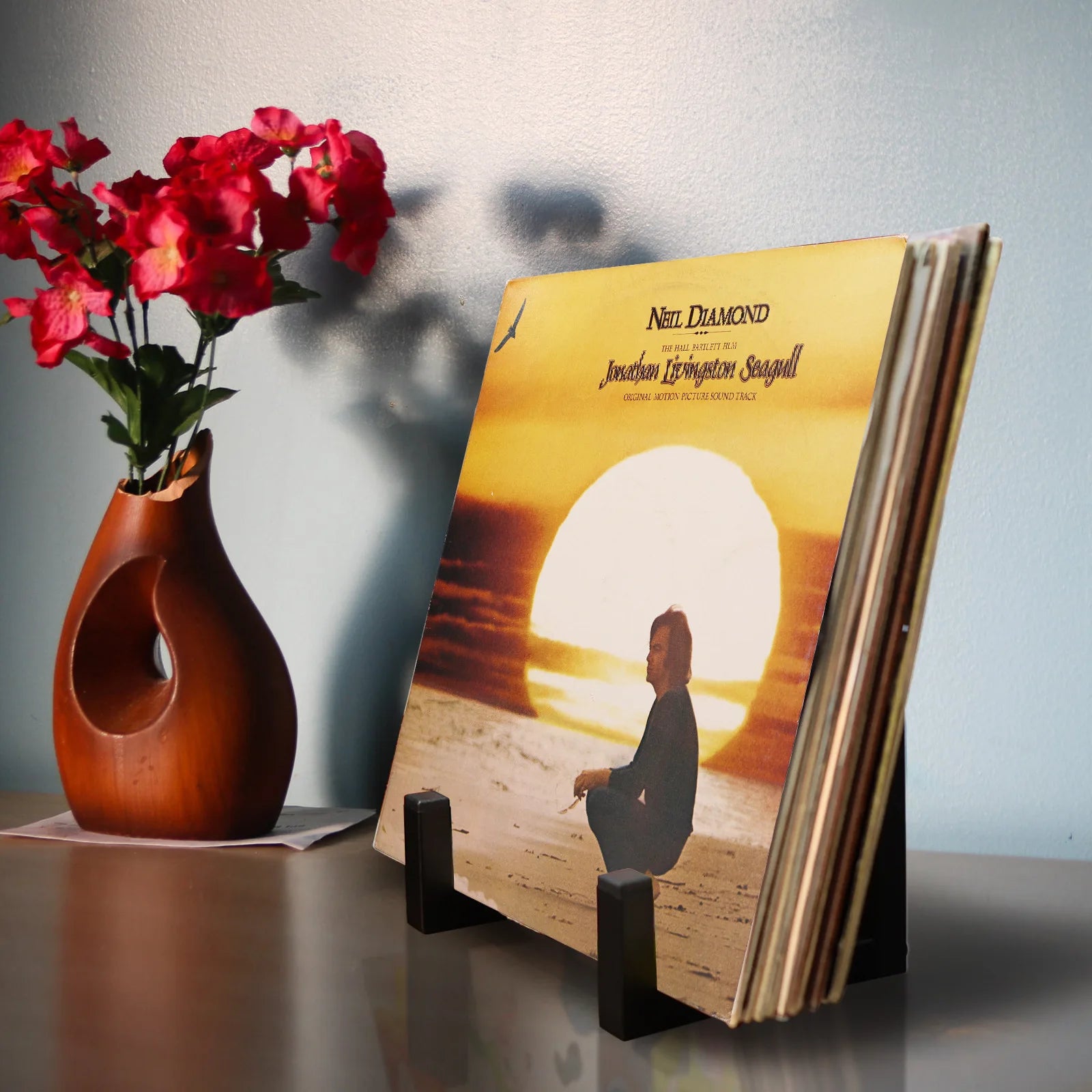 Minimalist Vinyl Record Stand